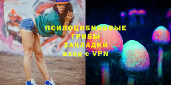 ГАЛЛЮЦИНОГЕННЫЕ ГРИБЫ Алзамай